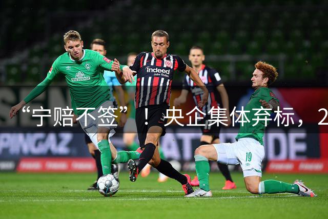 “宁赔不签”！央企集体弃标，22亿光伏大单无人敢接