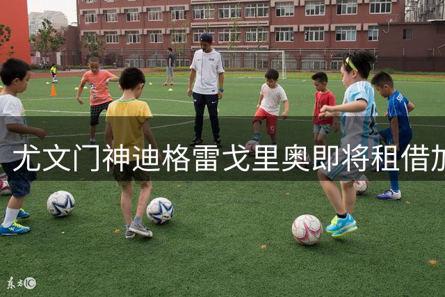 尤文门神迪格雷戈里奥即将租借加盟伯恩茅斯