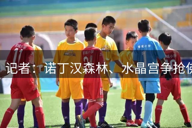 记者：诺丁汉森林、水晶宫争抢佛罗伦萨中场法乔利
